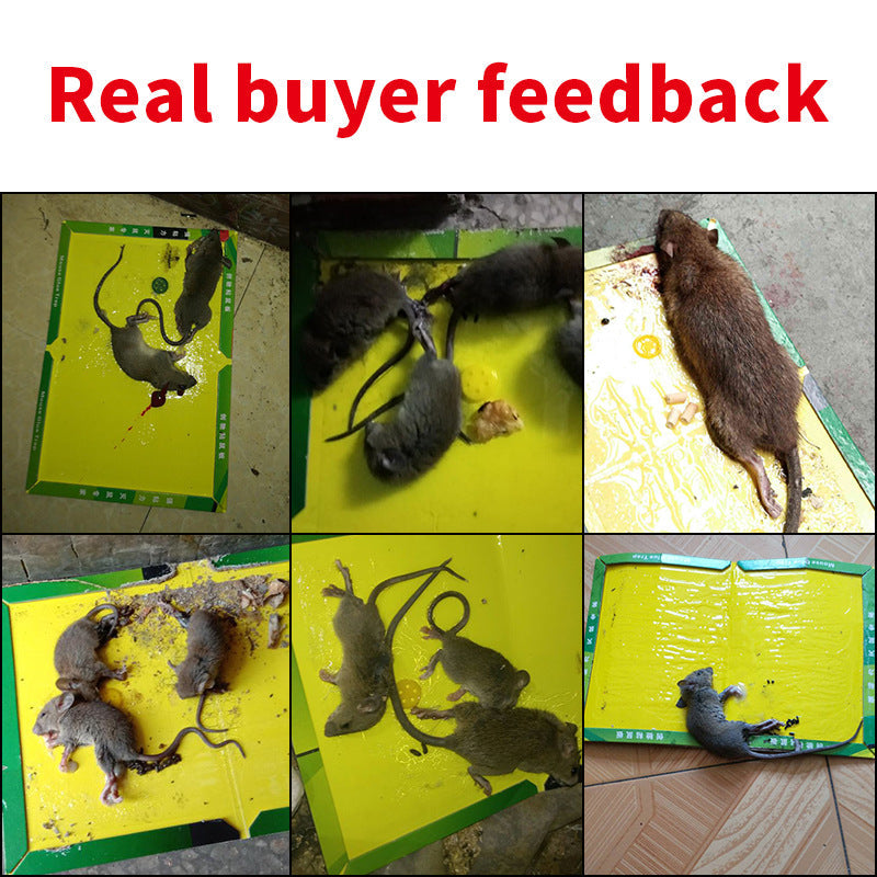 Khaha Mouse & Rat Glue Traps – Sticky Trap Boards with Bait
