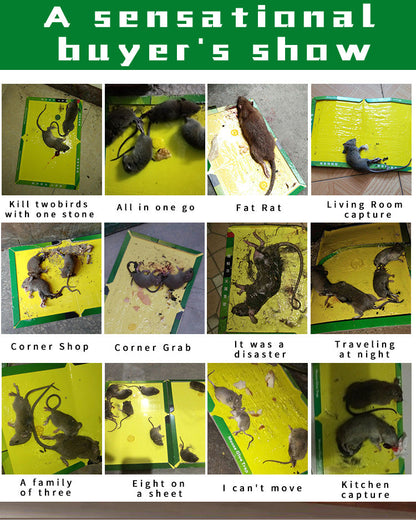 Khaha Mouse & Rat Glue Traps – Sticky Trap Boards with Bait