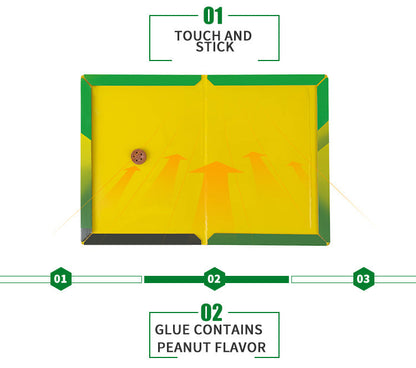 Khaha Mouse & Rat Glue Traps – Sticky Trap Boards with Bait
