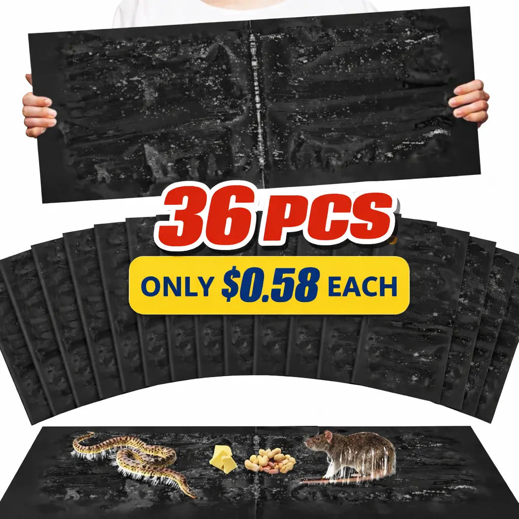 36 Pieces Power Sticky Boards for Home Kitchen