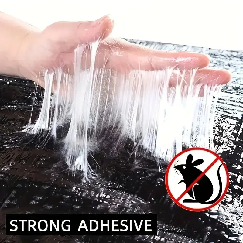 36 Pieces Power Sticky Boards for Home Kitchen